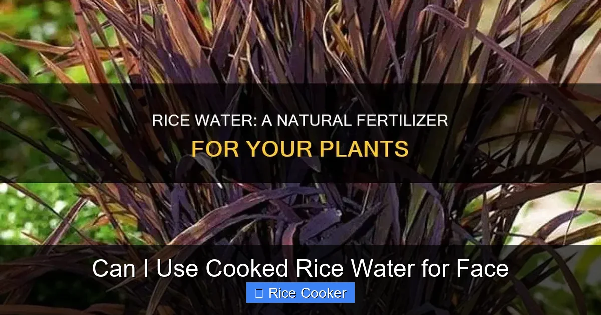 Can I Use Cooked Rice Water for Face