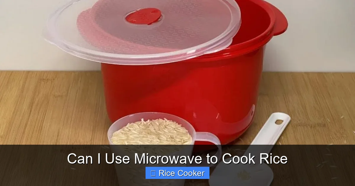Can I Use Microwave to Cook Rice