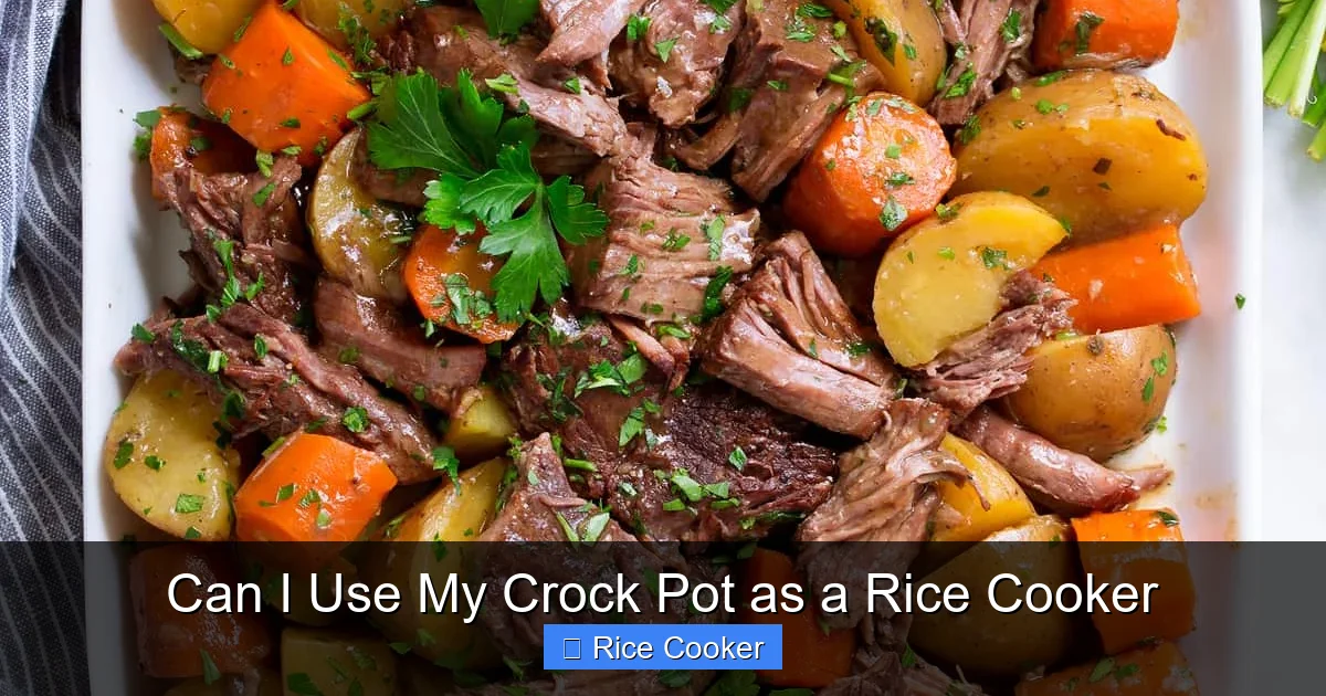 Can I Use My Crock Pot as a Rice Cooker