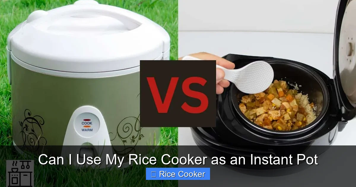 Can I Use My Rice Cooker as an Instant Pot