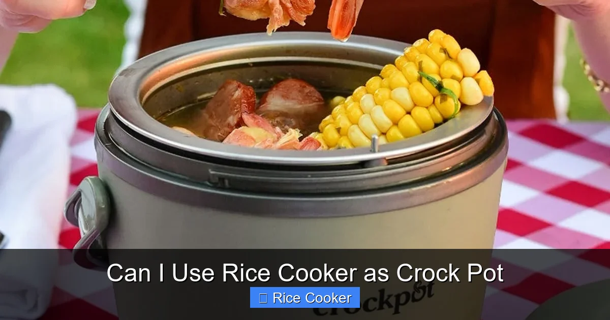 Can I Use Rice Cooker as Crock Pot