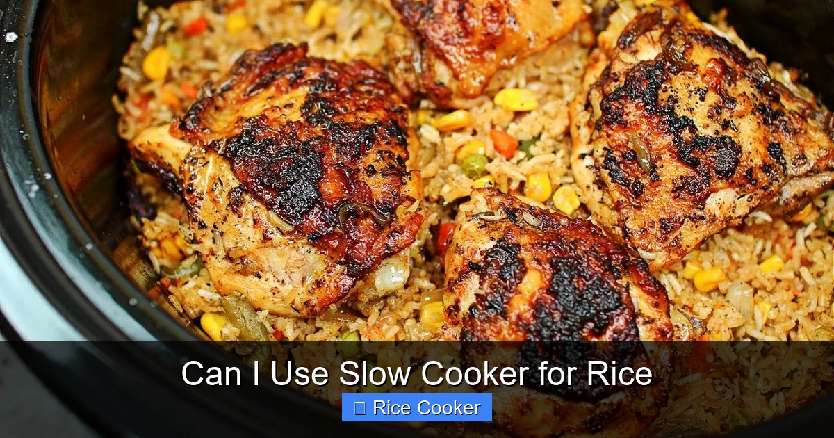 Can I Use Slow Cooker for Rice