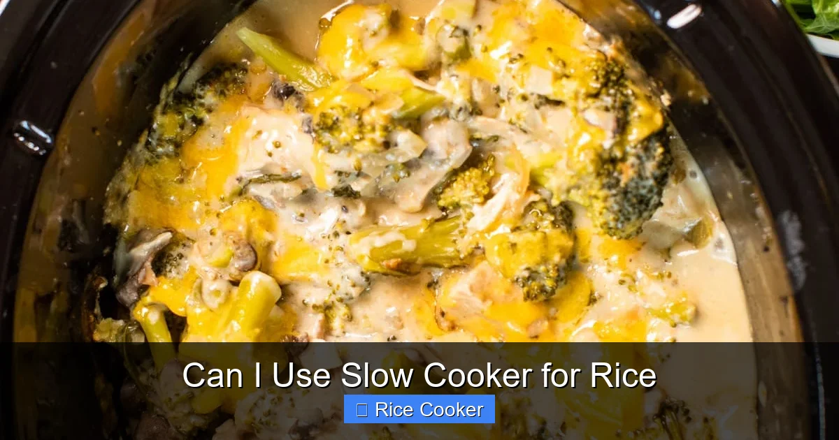 Can I Use Slow Cooker for Rice