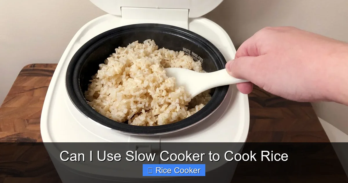 Can I Use Slow Cooker to Cook Rice