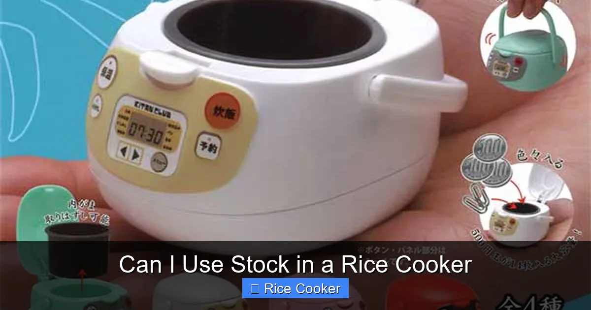 Can I Use Stock in a Rice Cooker