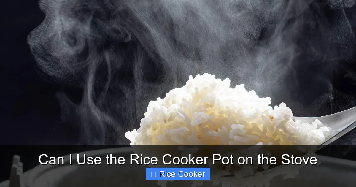 Can I Use the Rice Cooker Pot on the Stove
