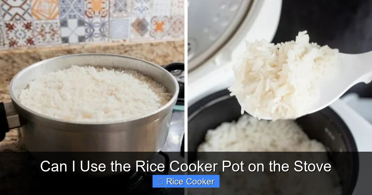Can I Use the Rice Cooker Pot on the Stove