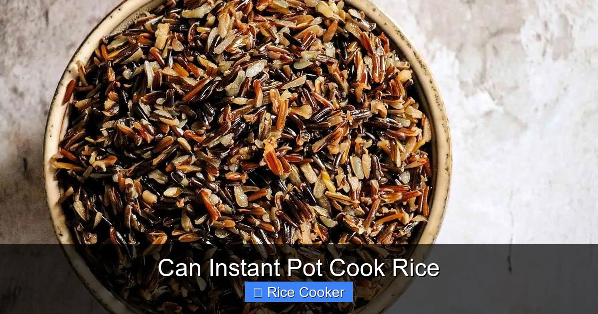 Can Instant Pot Cook Rice