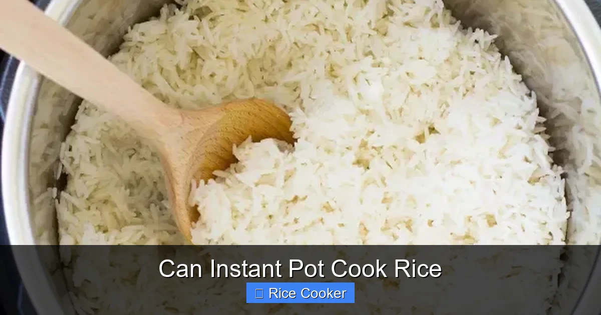 Can Instant Pot Cook Rice