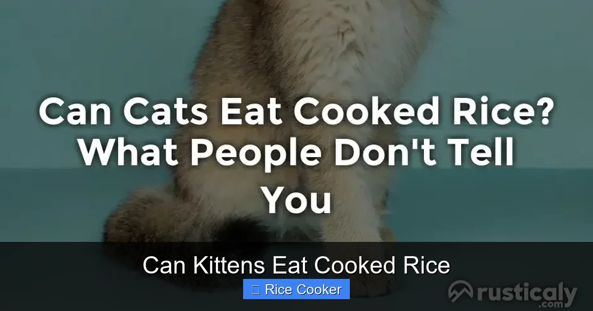 Can Kittens Eat Cooked Rice