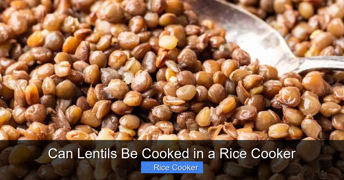 Can Lentils Be Cooked in a Rice Cooker
