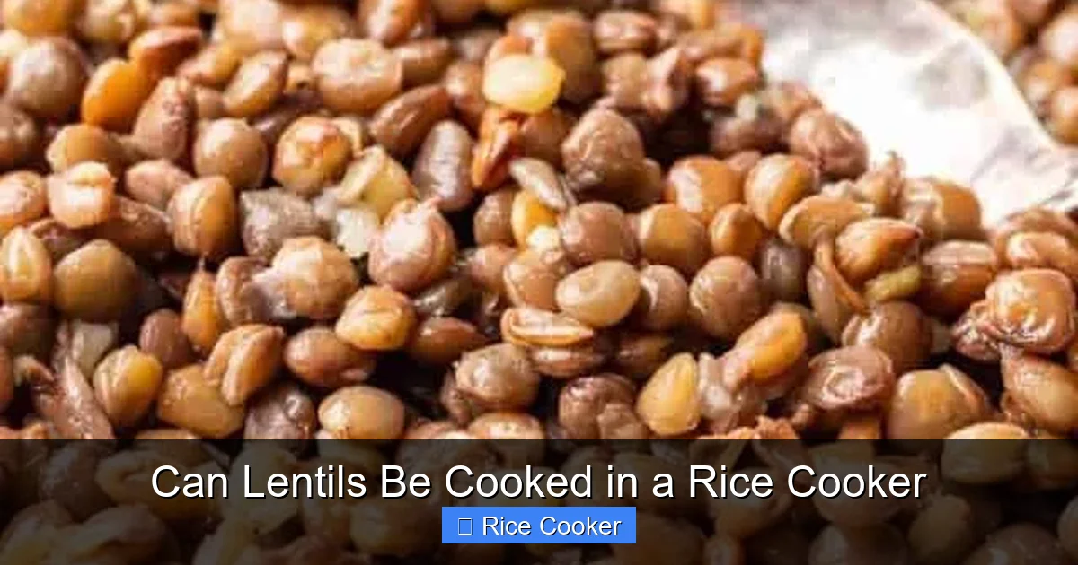 Can Lentils Be Cooked in a Rice Cooker