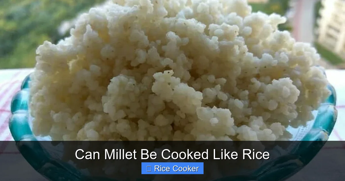 Can Millet Be Cooked Like Rice