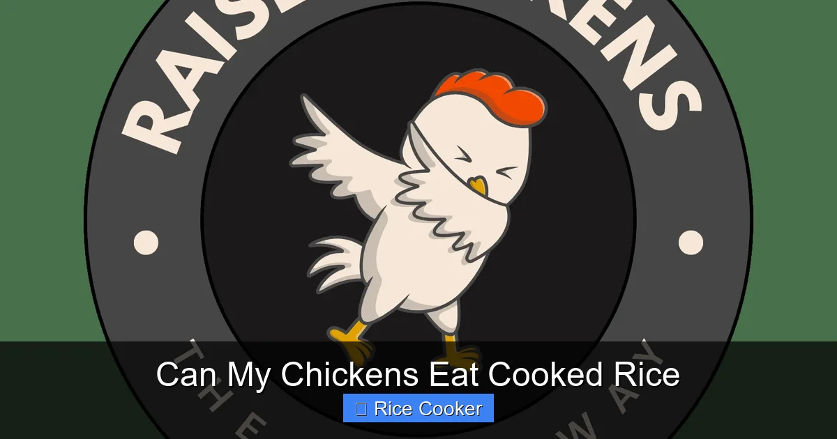 Can My Chickens Eat Cooked Rice