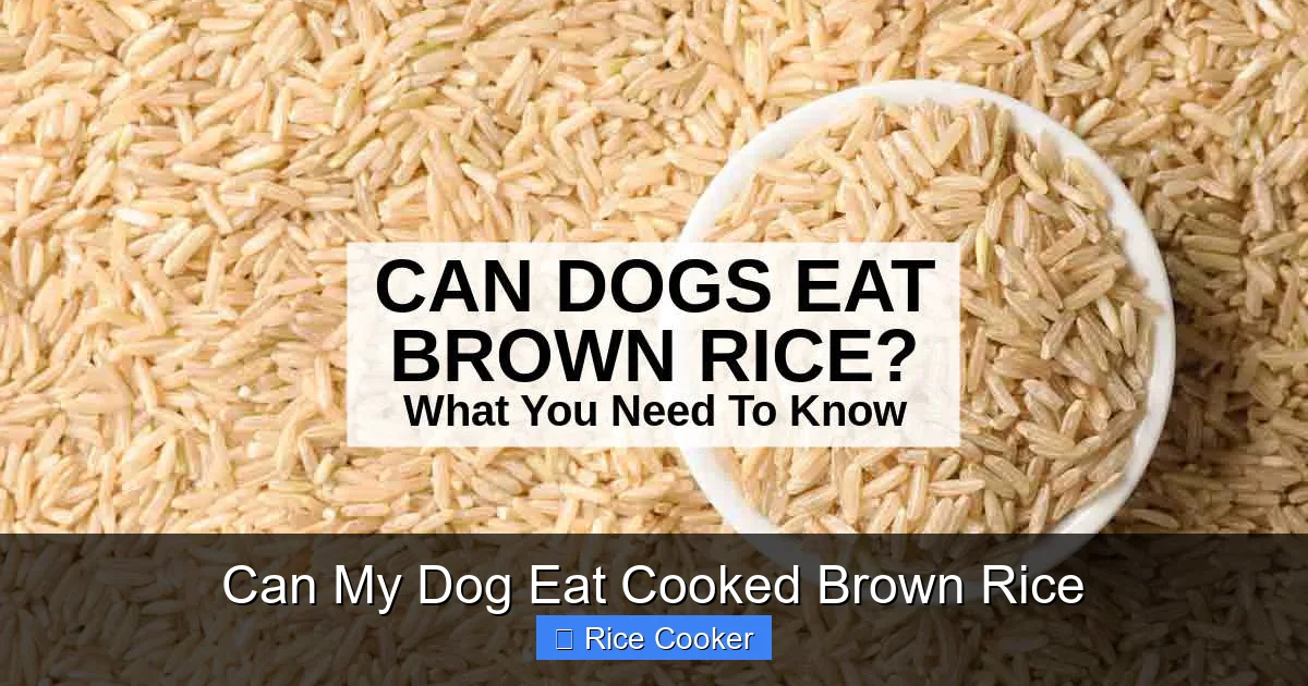 Can My Dog Eat Cooked Brown Rice