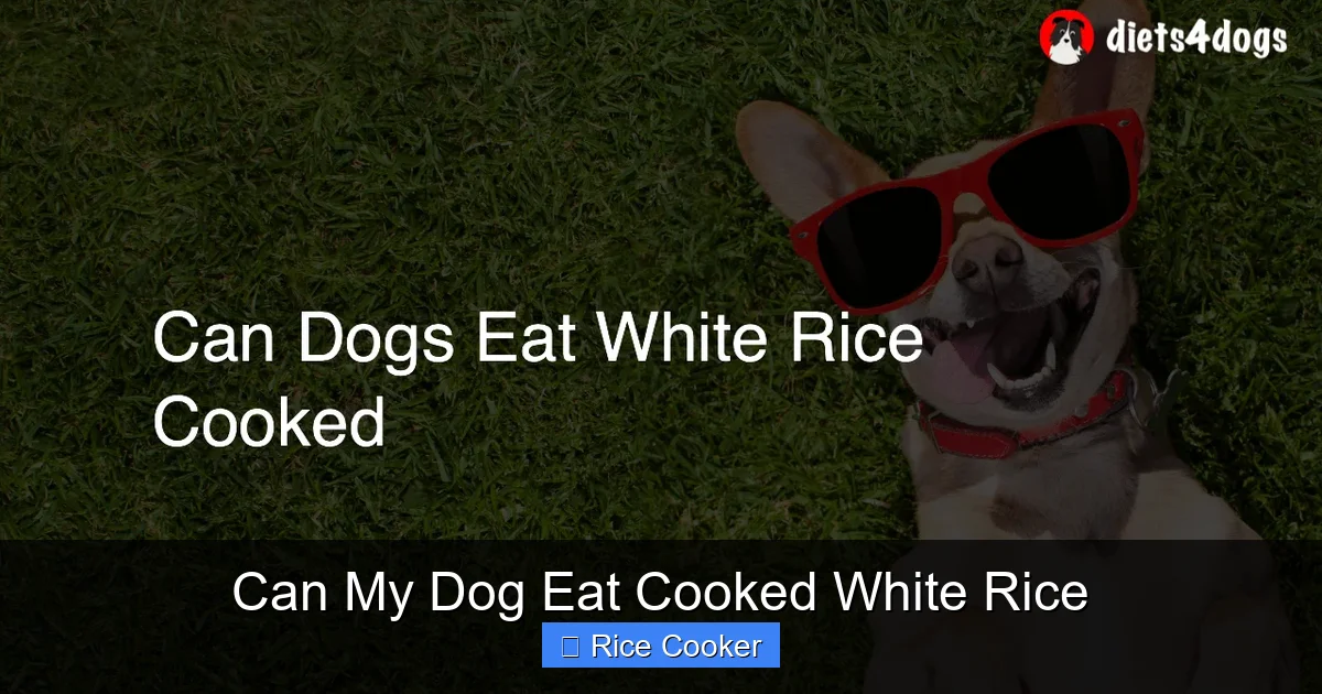 Can My Dog Eat Cooked White Rice