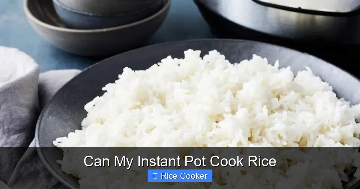 Can My Instant Pot Cook Rice