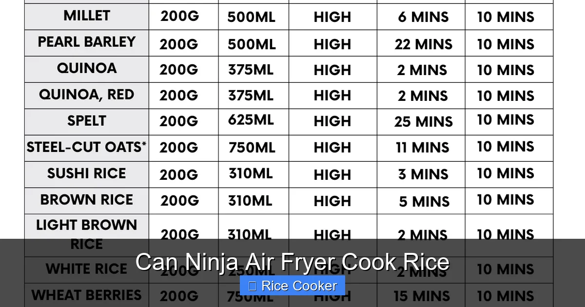 Can Ninja Air Fryer Cook Rice