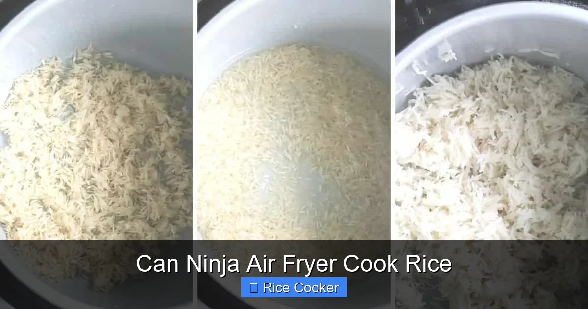 Can Ninja Air Fryer Cook Rice