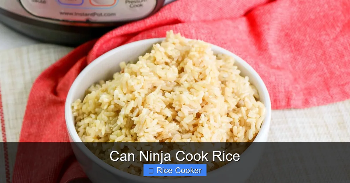 Can Ninja Cook Rice