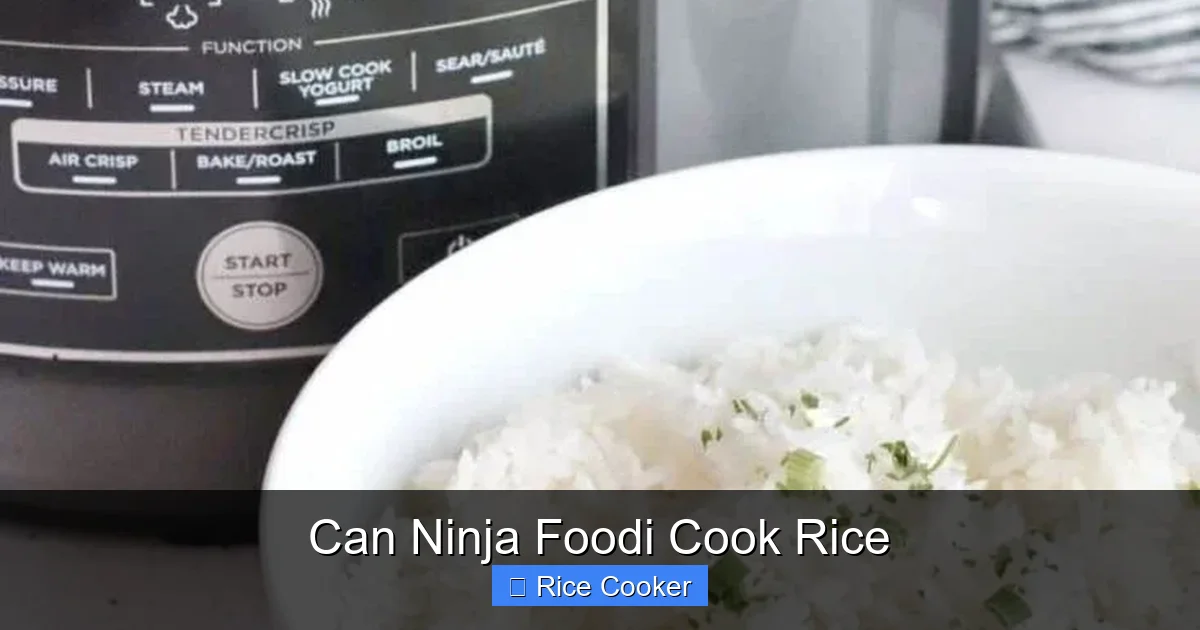 Can Ninja Foodi Cook Rice