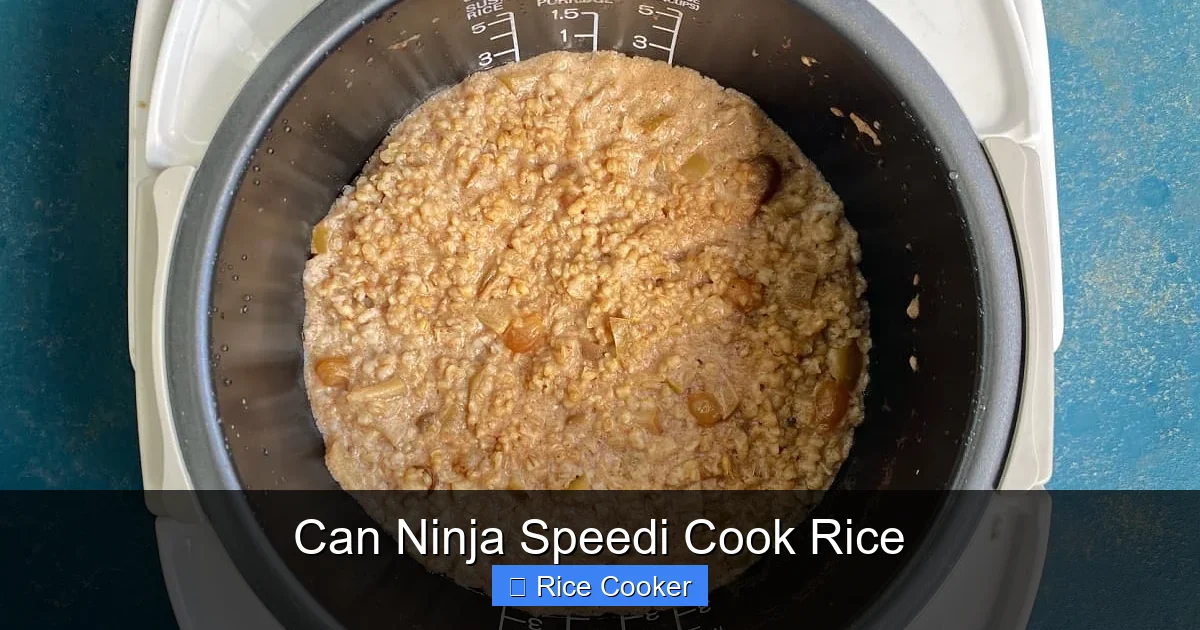 Can Ninja Speedi Cook Rice