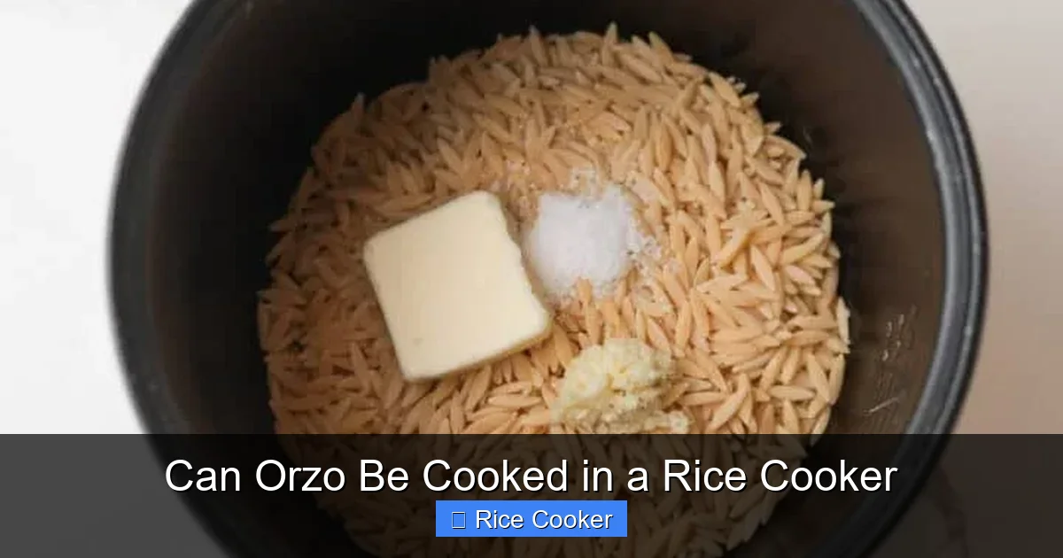 Can Orzo Be Cooked in a Rice Cooker