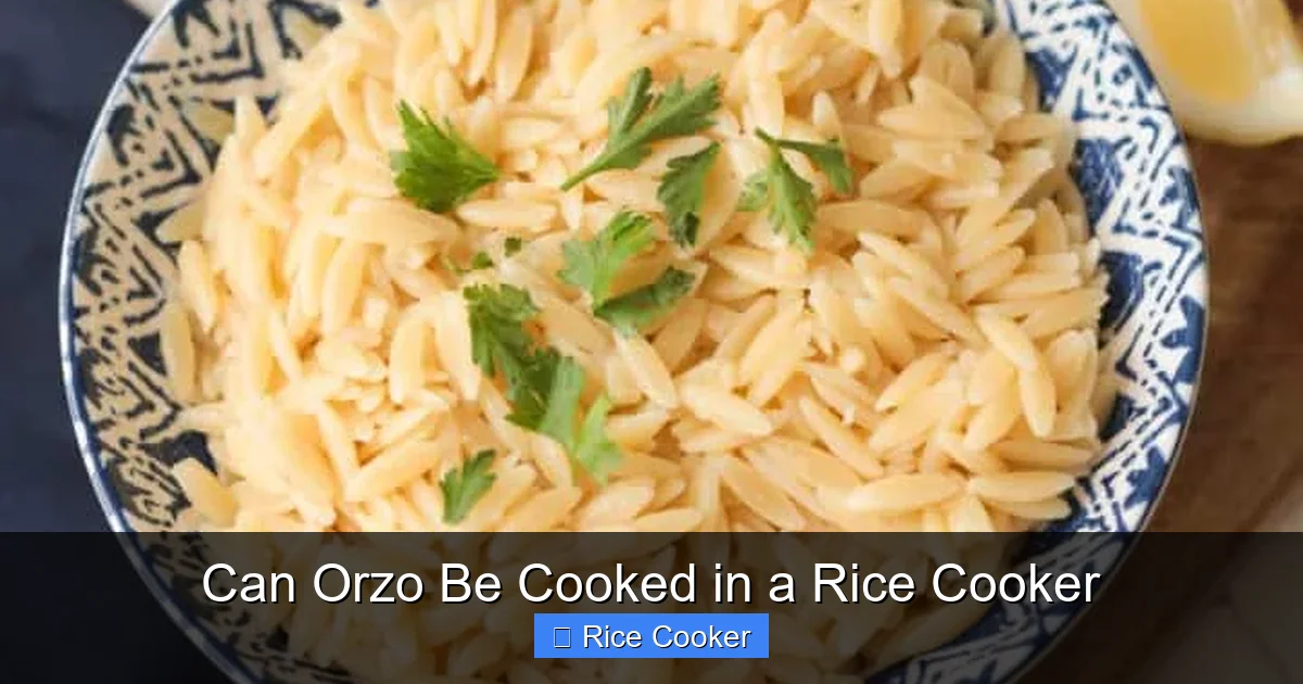 Can Orzo Be Cooked in a Rice Cooker