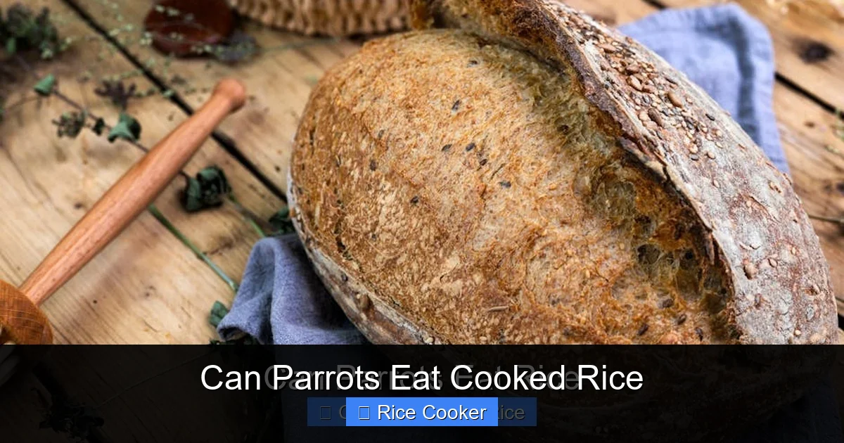 Can Parrots Eat Cooked Rice