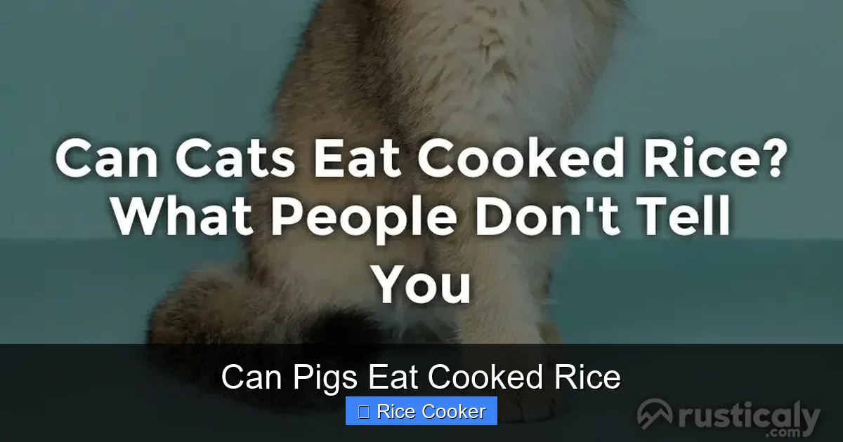 Can Pigs Eat Cooked Rice