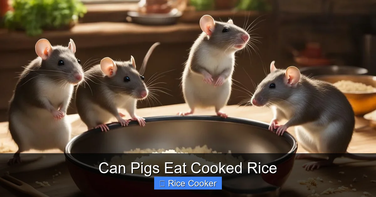 Can Pigs Eat Cooked Rice