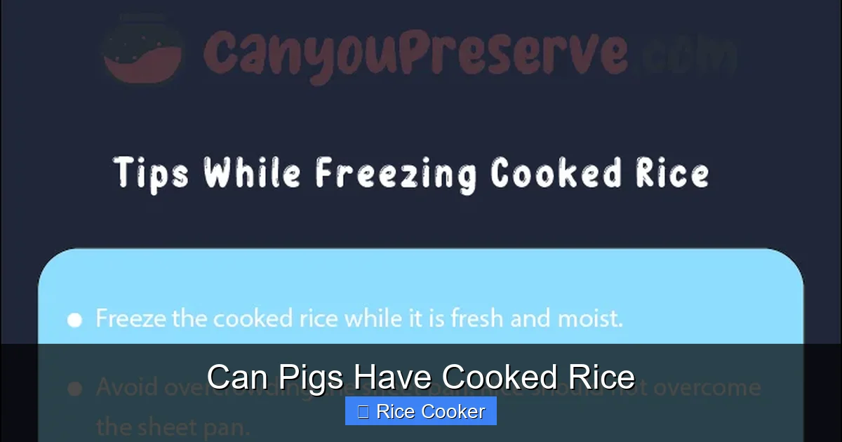 Can Pigs Have Cooked Rice