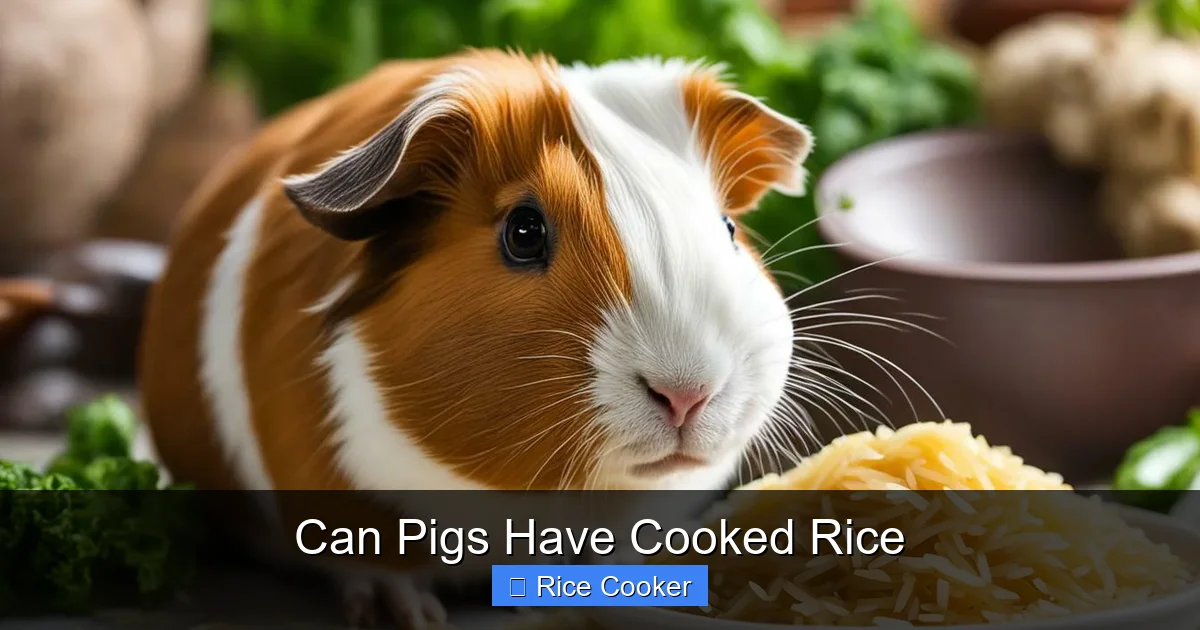 Can Pigs Have Cooked Rice