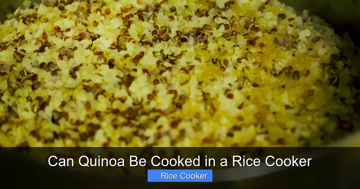 Can Quinoa Be Cooked in a Rice Cooker
