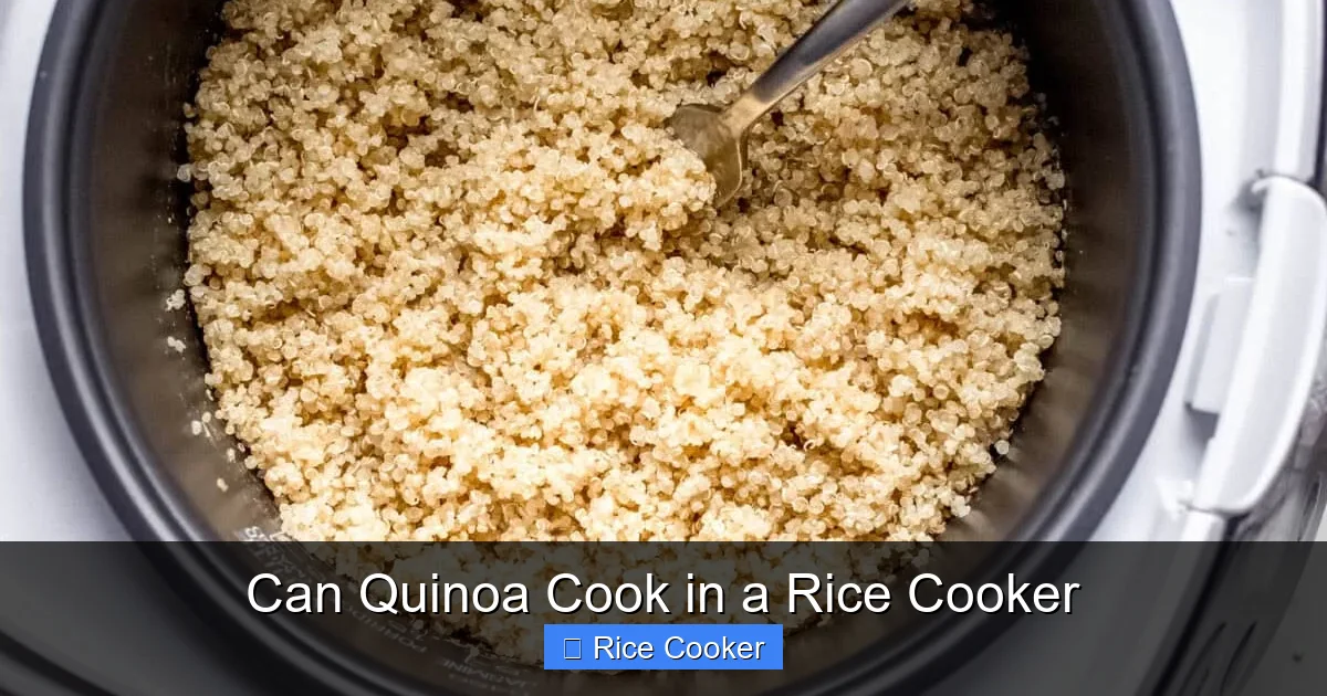 Can Quinoa Cook in a Rice Cooker