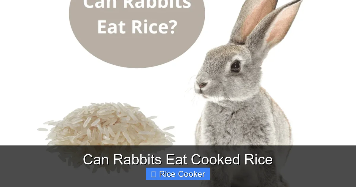 Can Rabbits Eat Cooked Rice