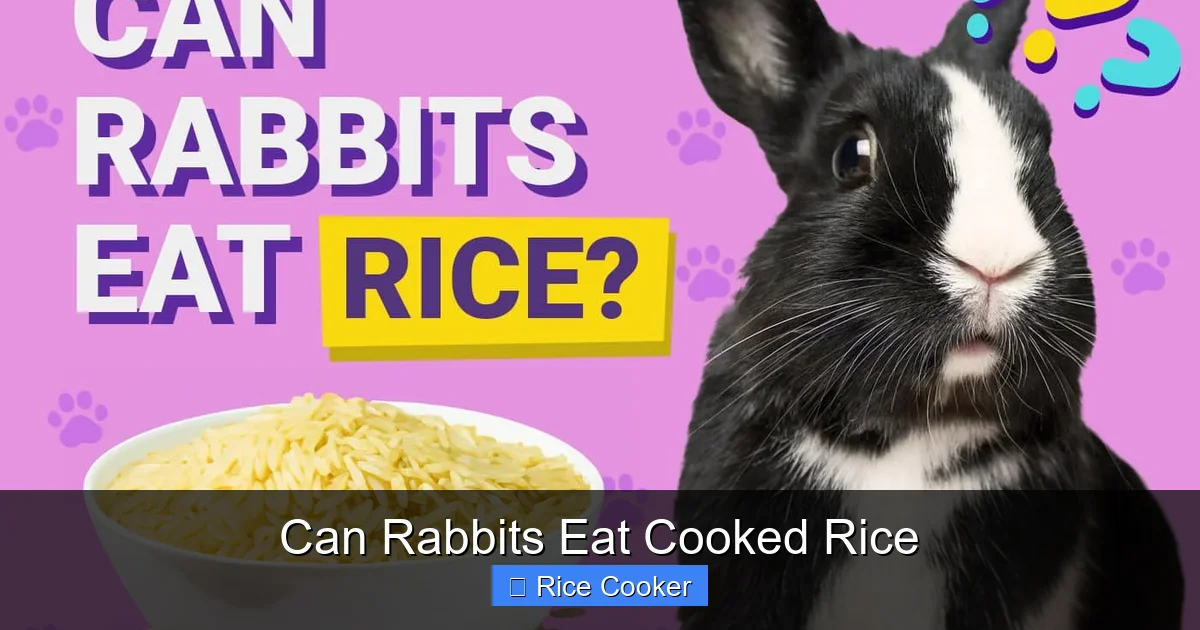 Can Rabbits Eat Cooked Rice