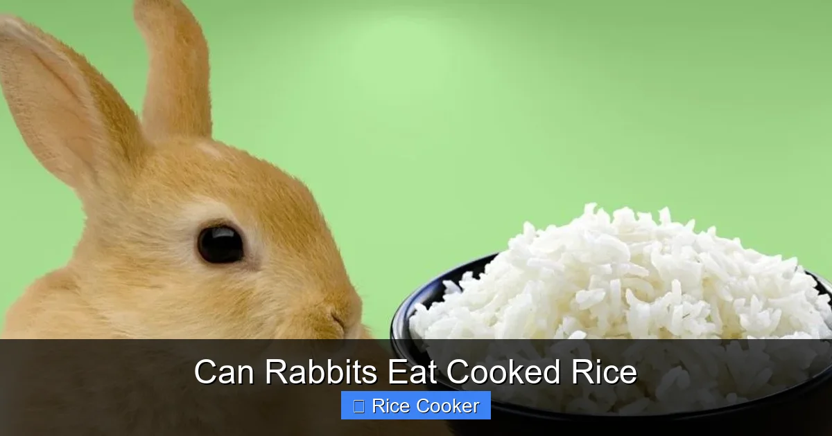 Can Rabbits Eat Cooked Rice