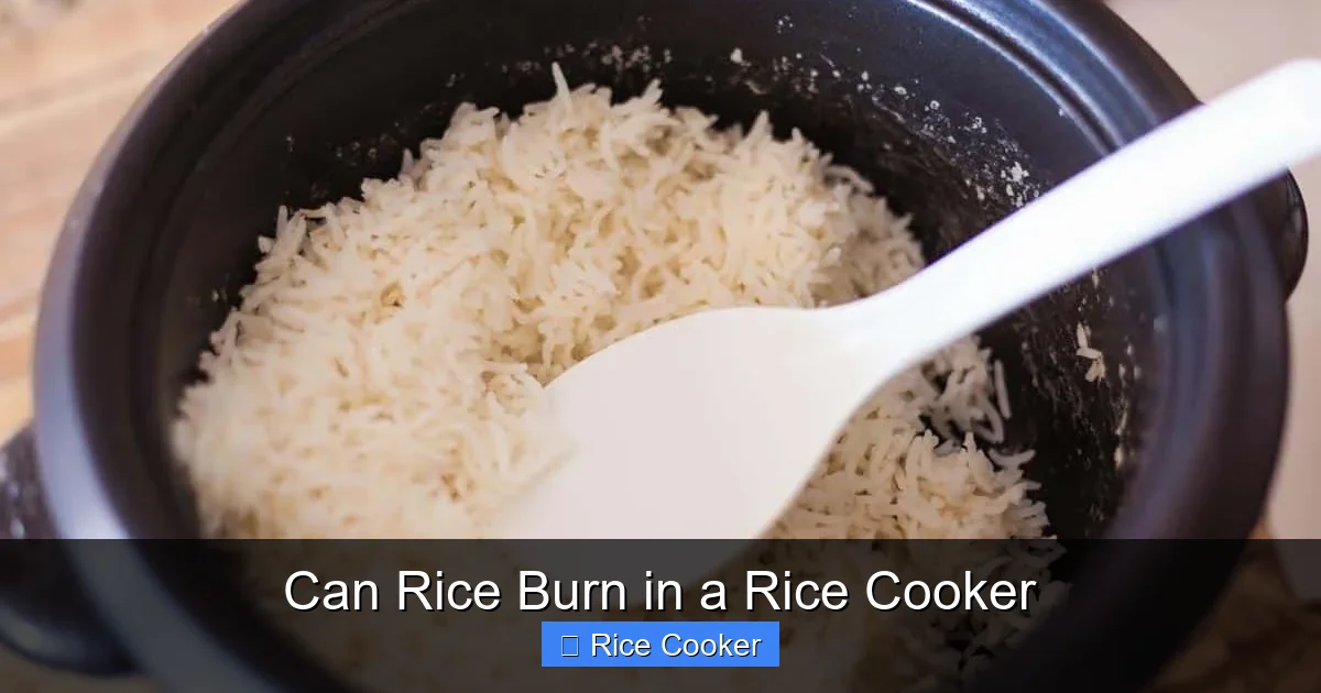 Can Rice Burn in a Rice Cooker