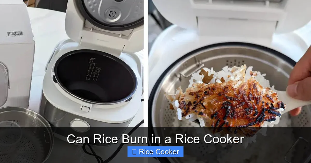 Can Rice Burn in a Rice Cooker