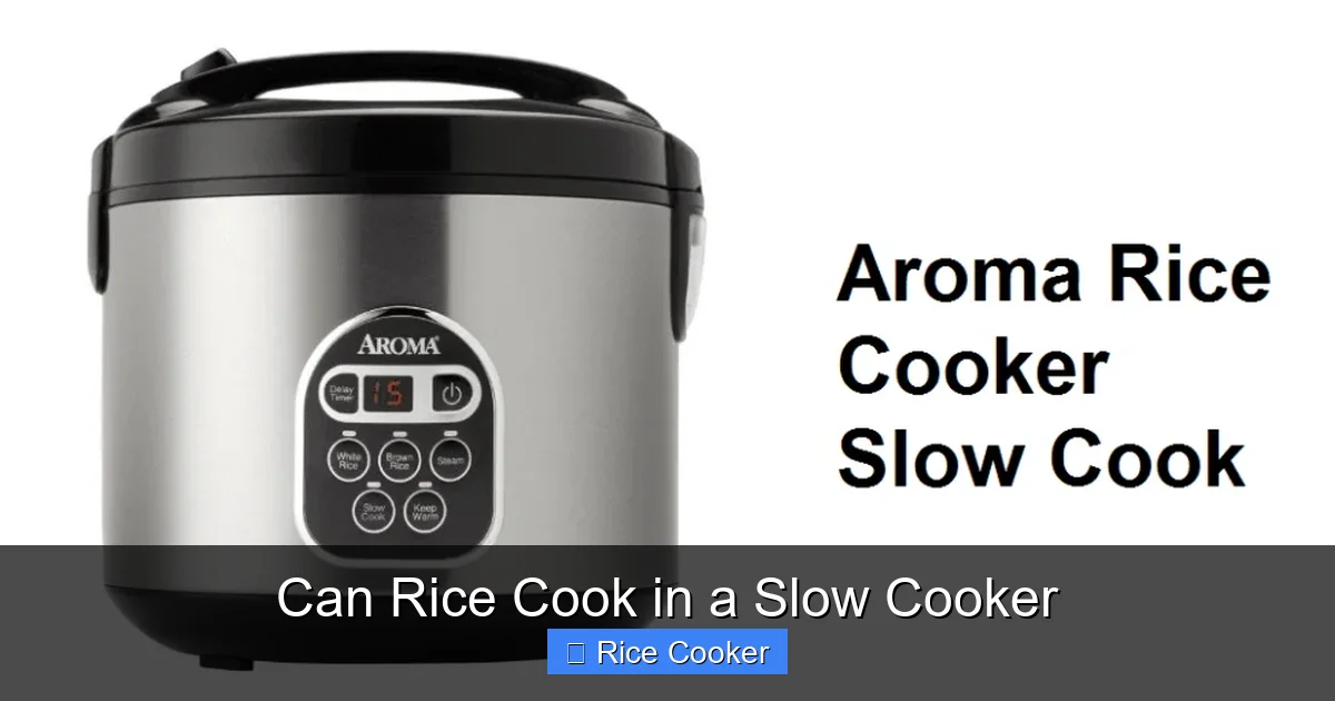 Can Rice Cook in a Slow Cooker