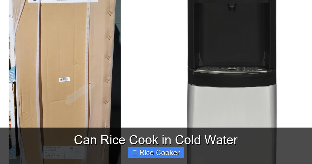 Can Rice Cook in Cold Water