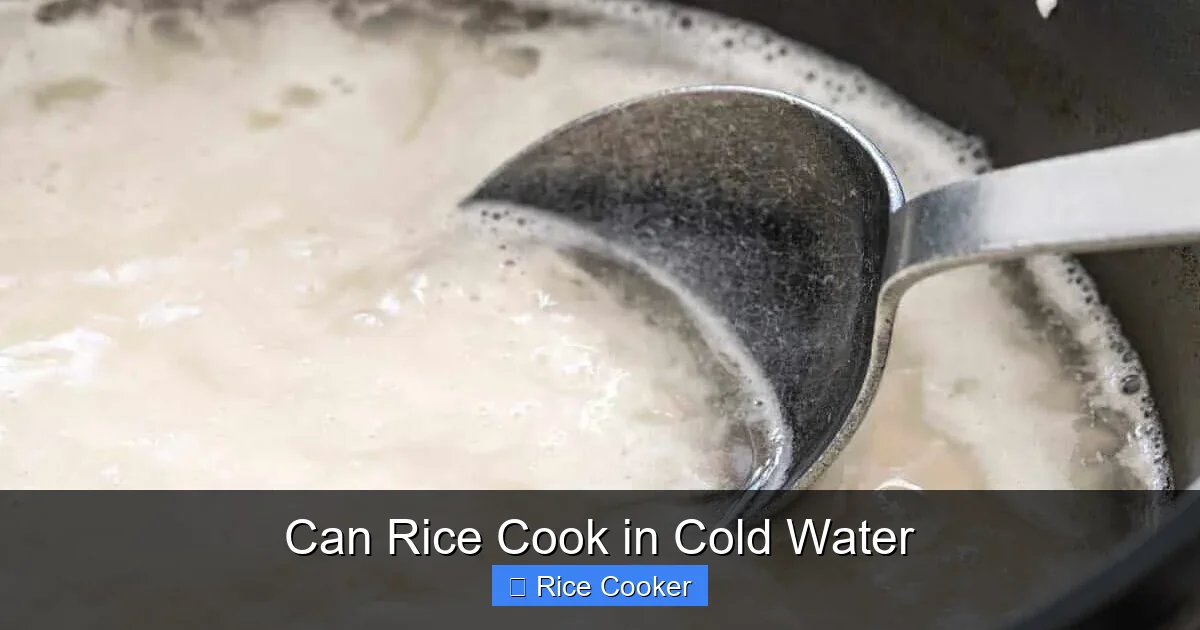 Can Rice Cook in Cold Water
