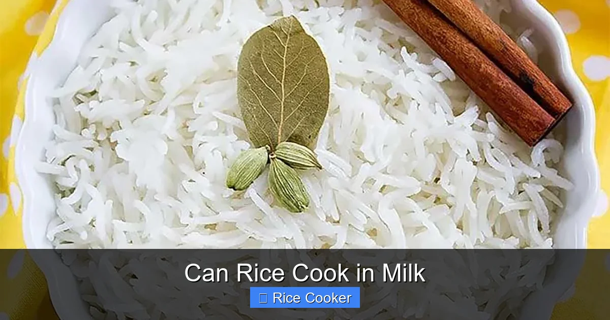 Can Rice Cook in Milk