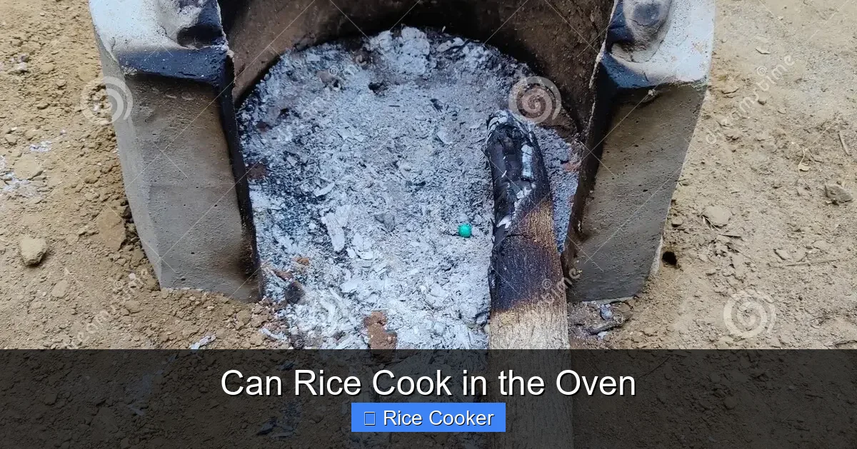 Can Rice Cook in the Oven