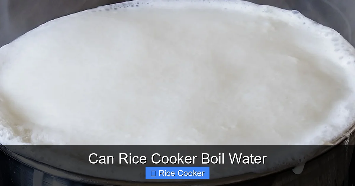 Can Rice Cooker Boil Water