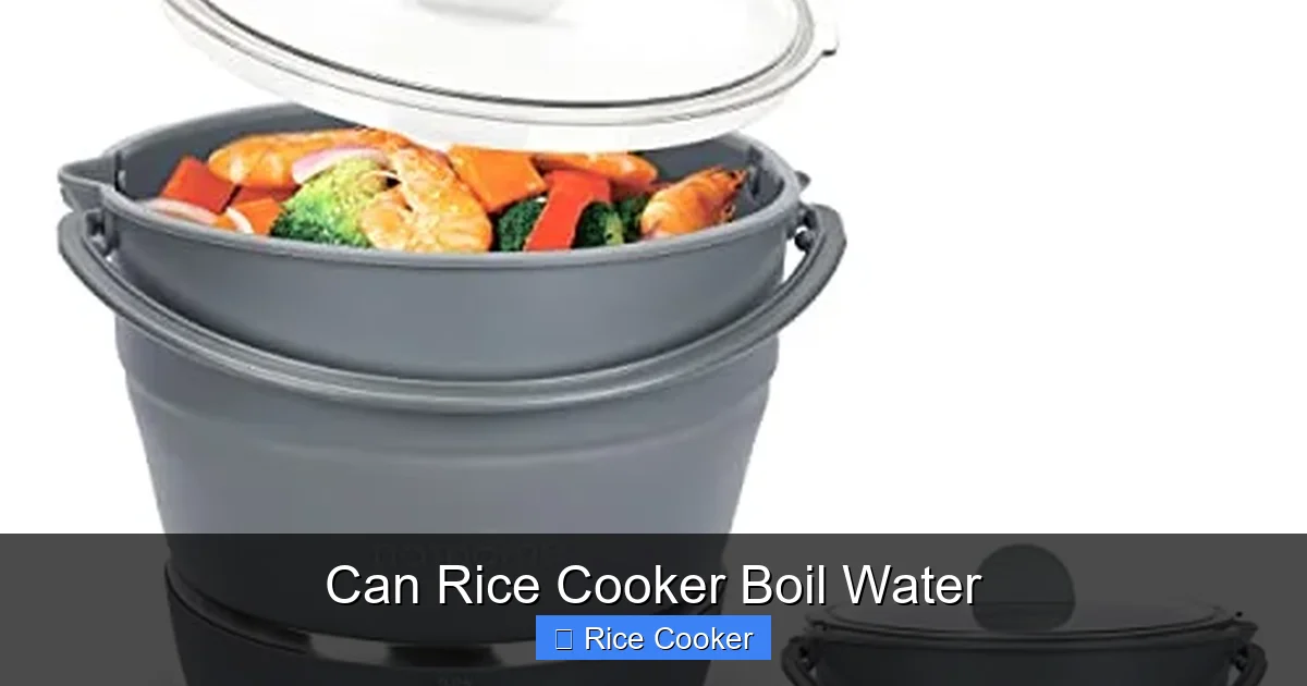Can Rice Cooker Boil Water