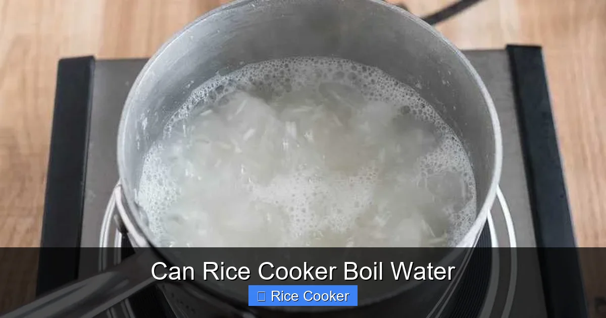 Can Rice Cooker Boil Water