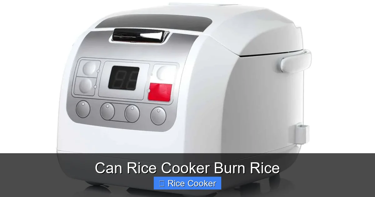 Can Rice Cooker Burn Rice