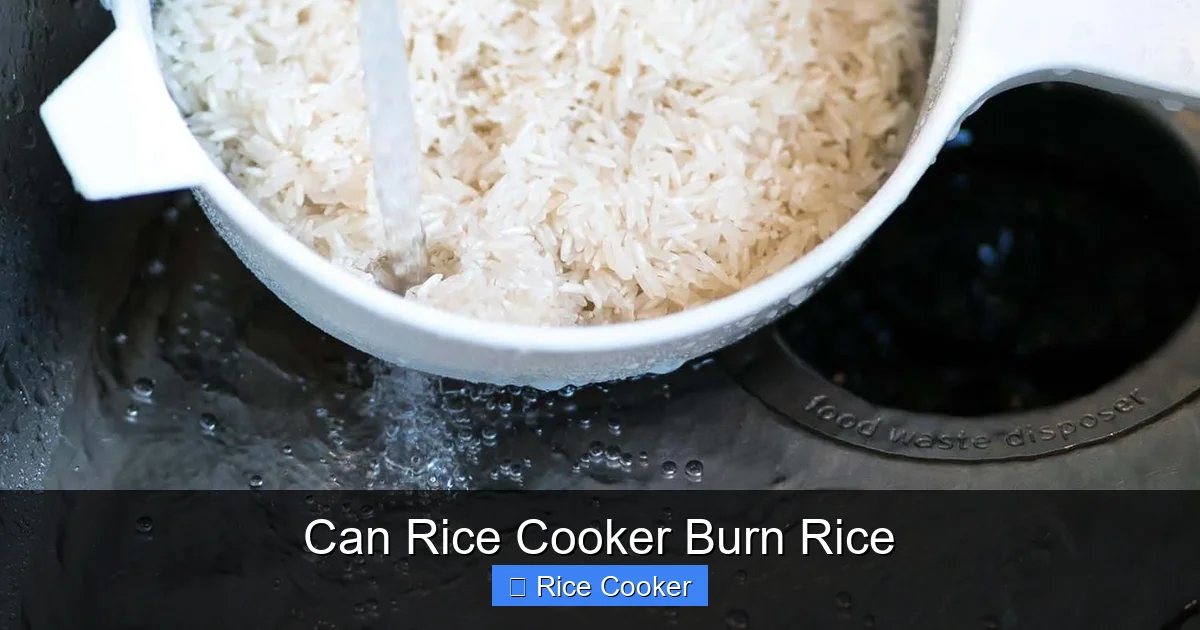Can Rice Cooker Burn Rice